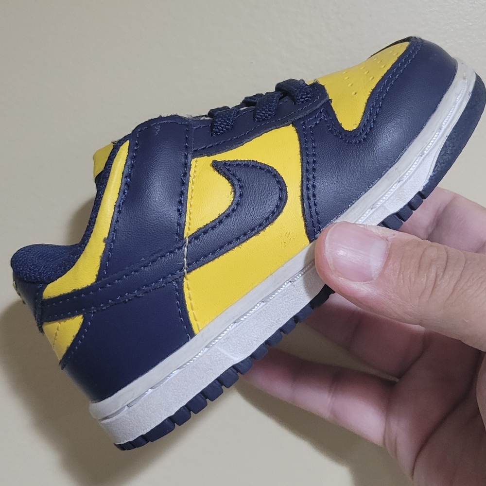 Nike dunk low Michigan